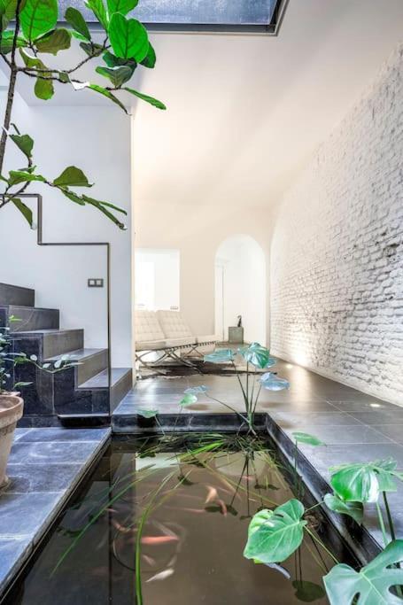 Exclusivo Apartamento De Diseno Centro Sevilla Matahacas Bajo Zewnętrze zdjęcie