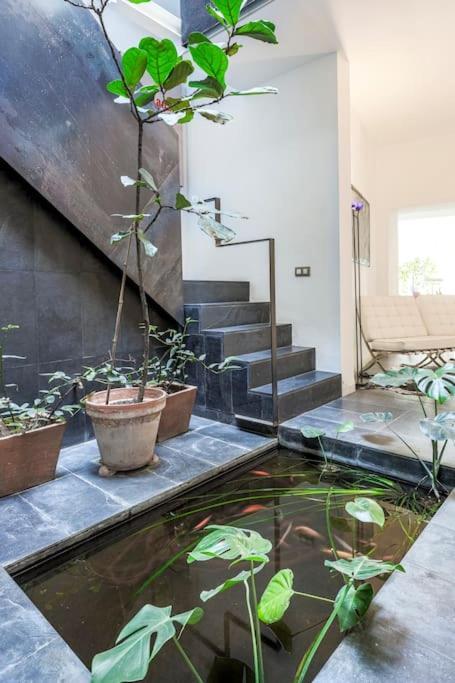 Exclusivo Apartamento De Diseno Centro Sevilla Matahacas Bajo Zewnętrze zdjęcie