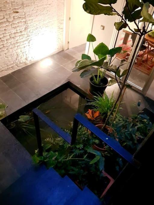 Exclusivo Apartamento De Diseno Centro Sevilla Matahacas Bajo Zewnętrze zdjęcie