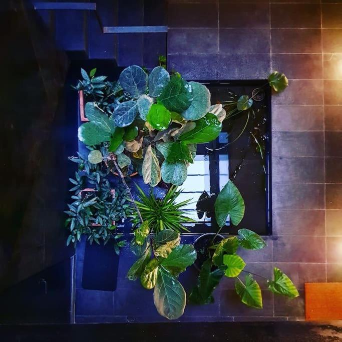 Exclusivo Apartamento De Diseno Centro Sevilla Matahacas Bajo Zewnętrze zdjęcie
